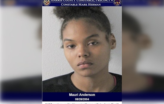 Suspected Dealer with Robbery Warrant Arrested in North Houston, Charged with Drug Possession and Credit Card Abuse