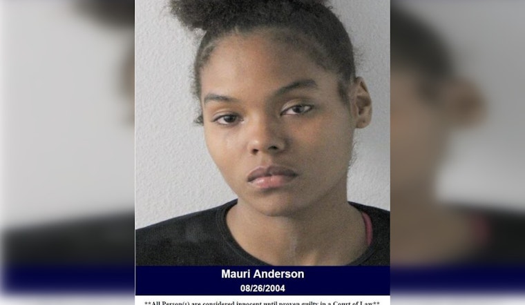 Suspected Dealer with Robbery Warrant Arrested in North Houston, Charged with Drug Possession and Credit Card Abuse