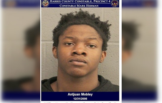 Suspected Vehicle Burglar Apprehended by Constable K9 in High Point Pines