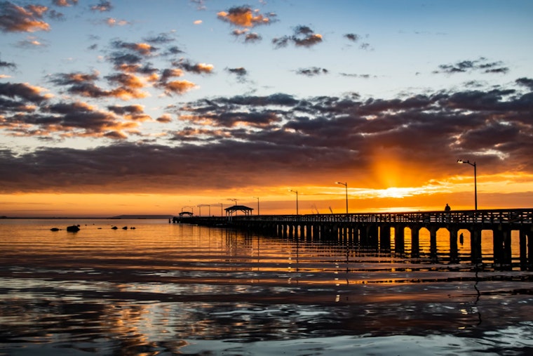 Tampa Braces for a Sweltering Week with a Mix of Thunderstorms and High Humidity