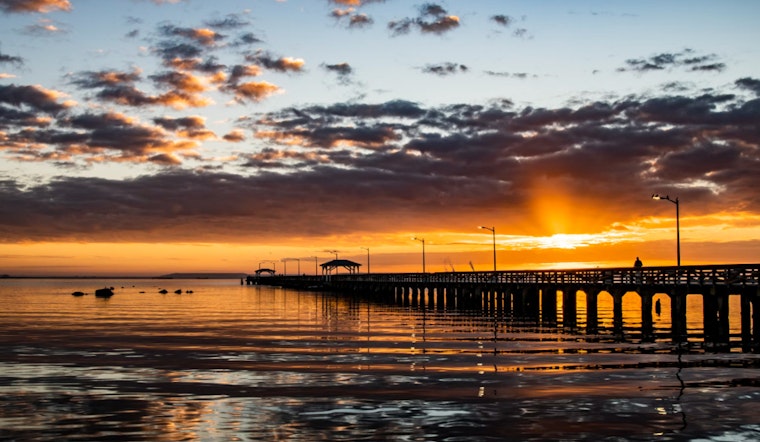 Tampa Braces for a Sweltering Week with a Mix of Thunderstorms and High Humidity
