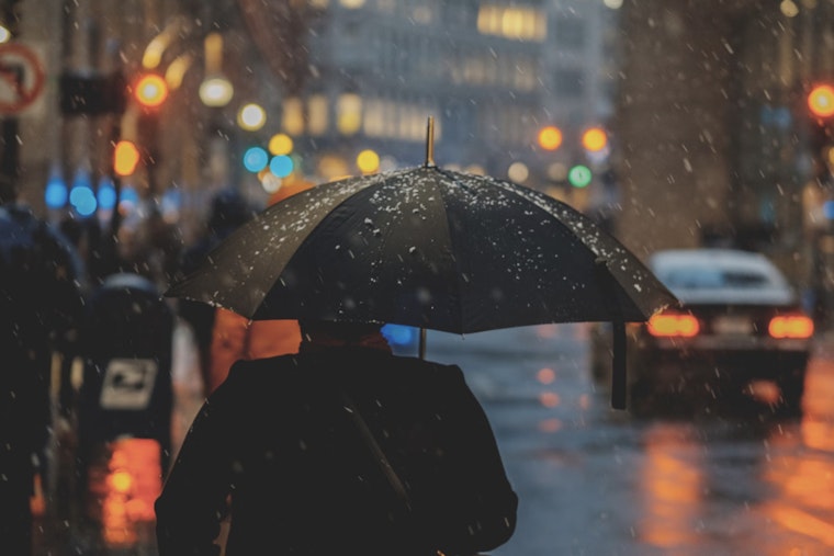 Tampa Readies for Steamy Week with Scattered Showers and Thunderstorms on the Horizon