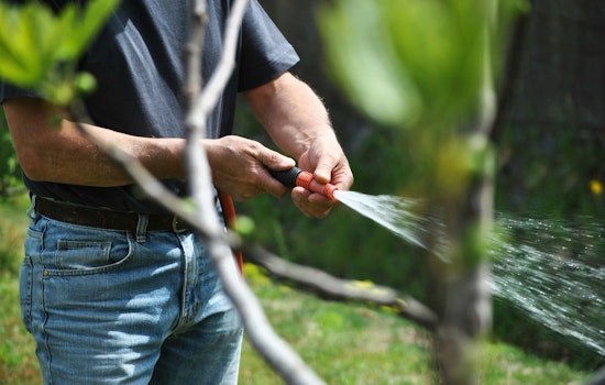Taylor Imposes Stage 3 Water Restrictions Amid Pump Failures at Lake Granger