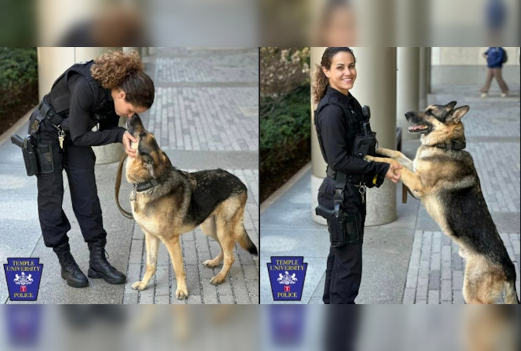 Temple University Police K9 Chandler Remembered for Service After Passing Away