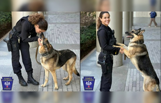 Temple University Police K9 Chandler Remembered for Service After Passing Away