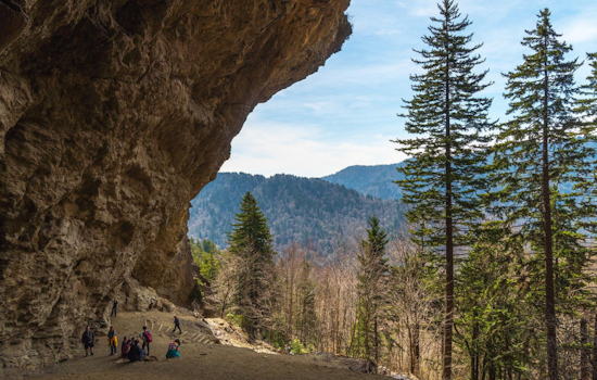 Tennessee Revels in Record-Breaking $30.6 Billion Tourism Revenue for 2023