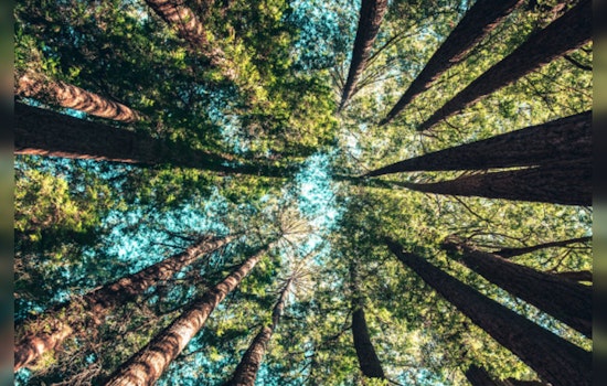 Texan Conservation Efforts Bolstered by Revolutionary Ecological Value Tool