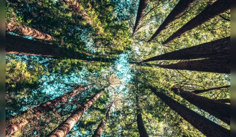 Texan Conservation Efforts Bolstered by Revolutionary Ecological Value Tool