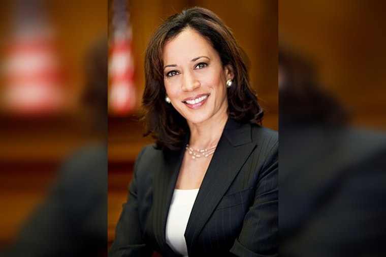 Texas Democratic Delegates Back Kamala Harris for President amid Voter Skepticism
