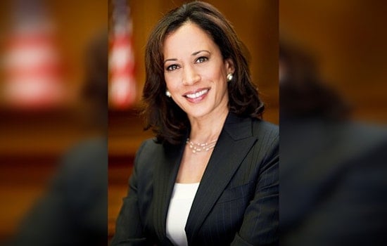 Texas Democratic Delegates Back Kamala Harris for President amid Voter Skepticism