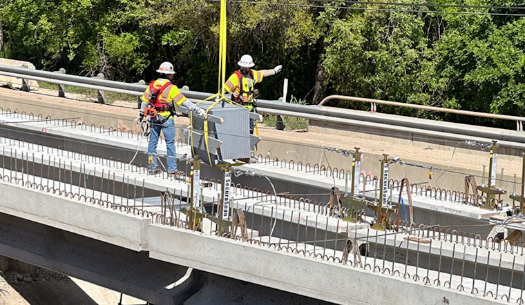 Texas Expands Wildlife Conservation with New Bat Boxes Along I-35 in Austin Amid Construction Projects