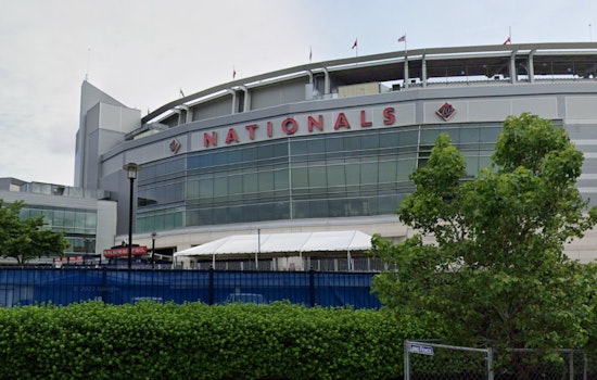 The Savannah Bananas Captivate 42,000 at Nationals Park Amid National Tragedy
