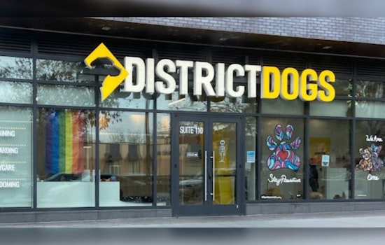 Tina Leone Takes the Reins as CEO of District Dogs Amid Ongoing Lawsuit and Expansion Efforts