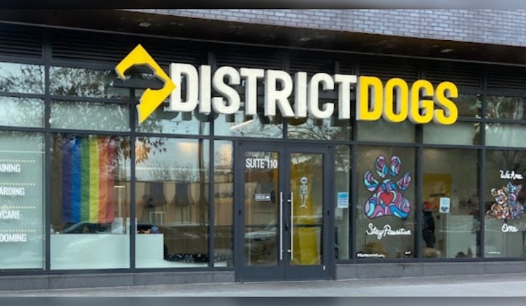 Tina Leone Takes the Reins as CEO of District Dogs Amid Ongoing Lawsuit and Expansion Efforts