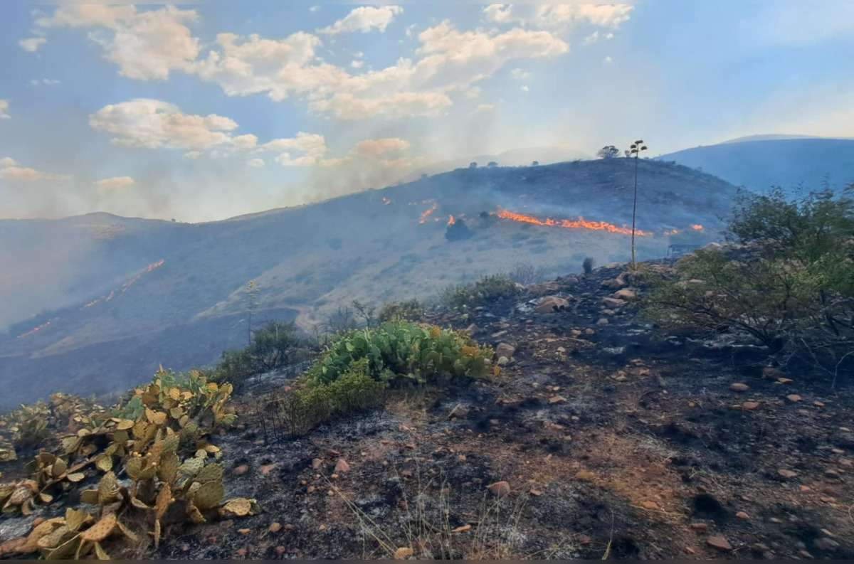 Tonto National Forest Confronts Black Fire, Evacuations Ordered as