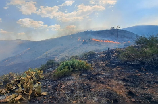 Tonto National Forest Confronts Black Fire, Evacuations Ordered as Arizona Wildfire Grows to Nearly 6,000 Acres