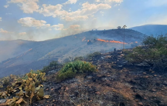Tonto National Forest Confronts Black Fire, Evacuations Ordered as Arizona Wildfire Grows to Nearly 6,000 Acres