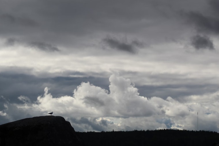Trade Winds and Passing Showers Shape Hawaii's Weather Scene, Coastal Flood Advisory Issued for Hilo, Kahului, and Honolulu