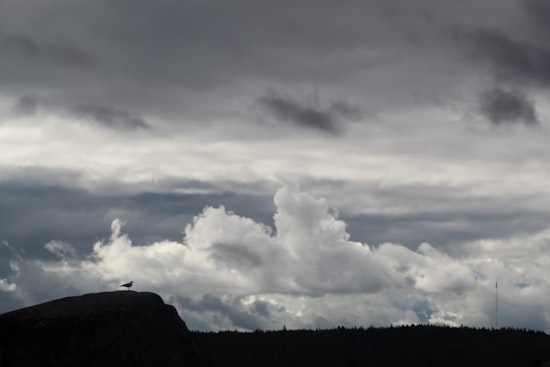 Trade Winds and Passing Showers Shape Hawaii's Weather Scene, Coastal Flood Advisory Issued for Hilo, Kahului, and Honolulu