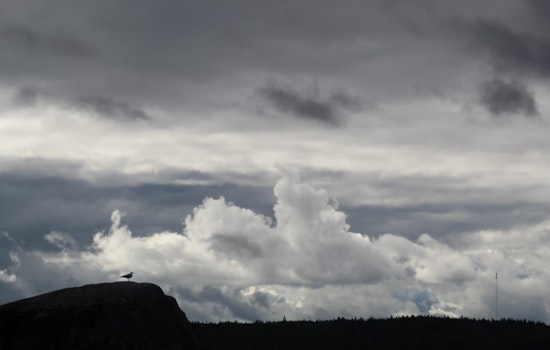 Trade Winds and Passing Showers Shape Hawaii's Weather Scene, Coastal Flood Advisory Issued for Hilo, Kahului, and Honolulu