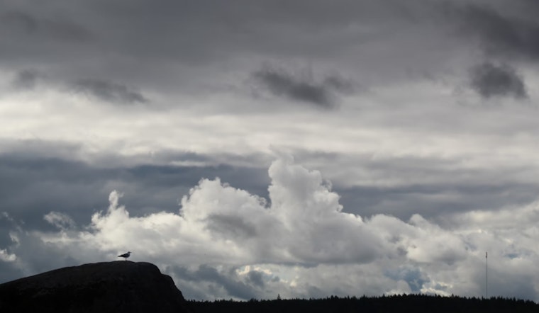 Trade Winds and Passing Showers Shape Hawaii's Weather Scene, Coastal Flood Advisory Issued for Hilo, Kahului, and Honolulu