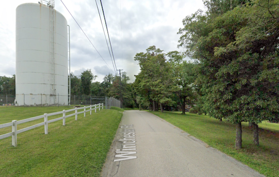 Tragedy Strikes Westmoreland County: Teen Killed by Falling Tree Amid Cleanup Efforts
