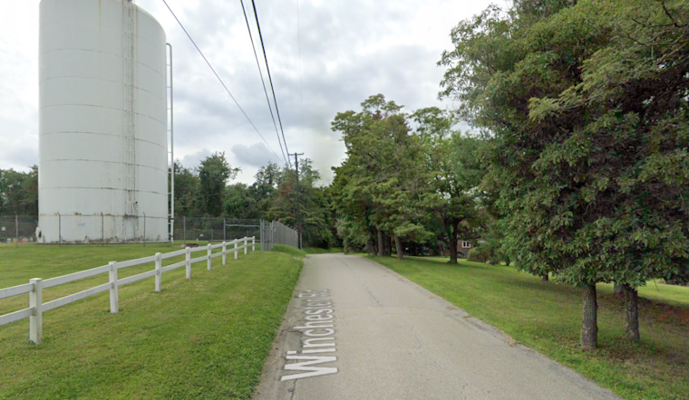 Tragedy Strikes Westmoreland County: Teen Killed by Falling Tree Amid Cleanup Efforts
