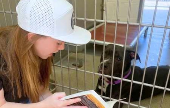 Tucson's Pima Animal Care Center Innovates with 'Paws and Pages' Reading Program for Shelter Animals