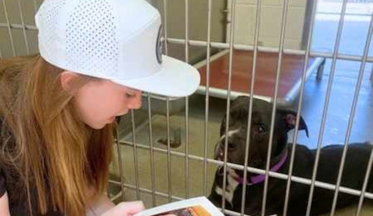 Tucson's Pima Animal Care Center Innovates with 'Paws and Pages' Reading Program for Shelter Animals