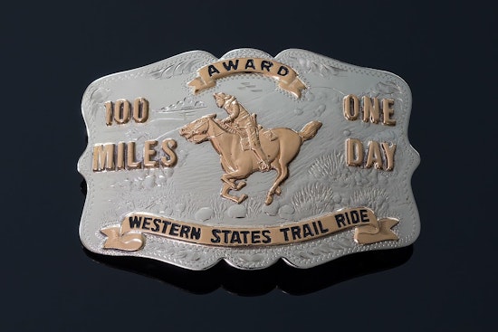 Two Horses Fatally Injured at 2024 Tevis Cup Endurance Ride in Northern California