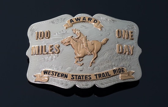Two Horses Fatally Injured at 2024 Tevis Cup Endurance Ride in Northern California