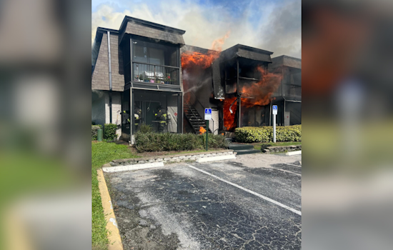 Two People and Multiple Pets Rescued from Orlando Apartment Fire, One Dog Tragically Lost