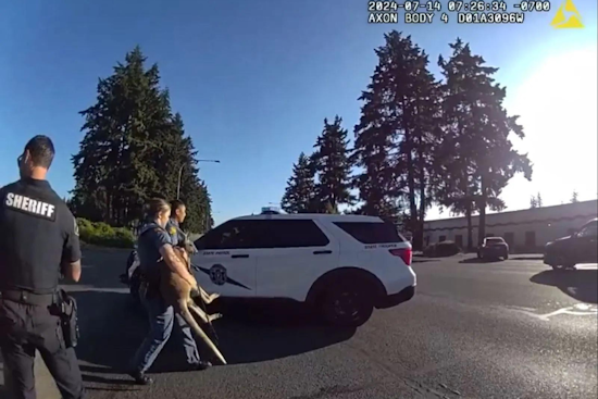 Unexpected Wallaby Chase in Parkland Leads to Whimsical Police Pursuit and Safe Capture