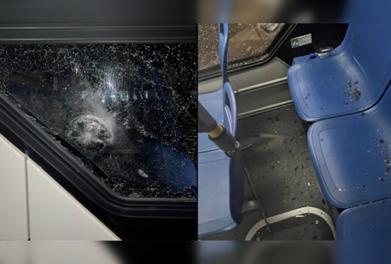 Unidentified Vandal Shatters T Bus Window Near Nubian Station, Prompting MBTA Investigation and Delays