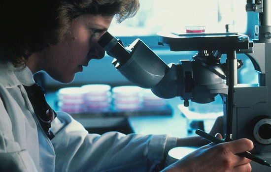 University of Minnesota Study Reveals Donor Socioeconomic Status Impact on Blood Cancer Treatment Success