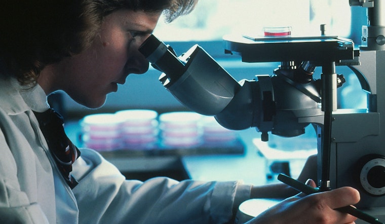 University of Minnesota Study Reveals Donor Socioeconomic Status Impact on Blood Cancer Treatment Success