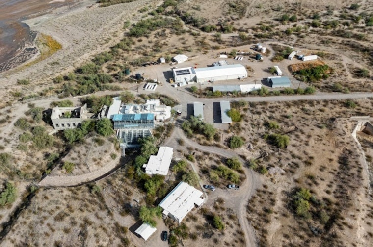 University of Washington's Primate Research Center in Mesa Faces Allegations of Unsafe Conditions by PETA