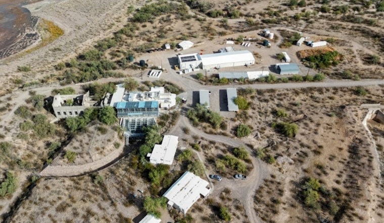 University of Washington's Primate Research Center in Mesa Faces Allegations of Unsafe Conditions by PETA