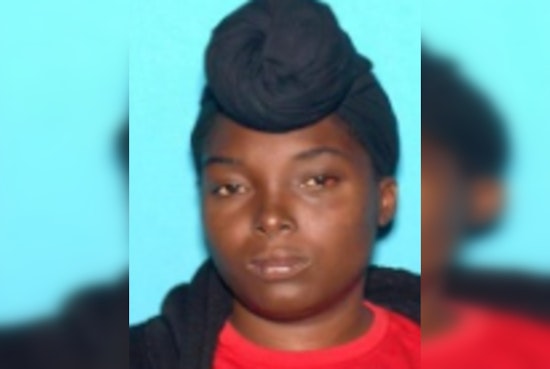 Update: Los Angeles Mother Accused of Kidnapping Her Children Claims Misunderstanding, Plans to Surrender