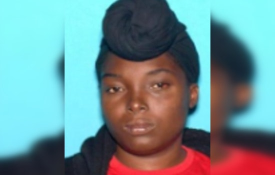 Update: Los Angeles Mother Accused of Kidnapping Her Children Claims Misunderstanding, Plans to Surrender