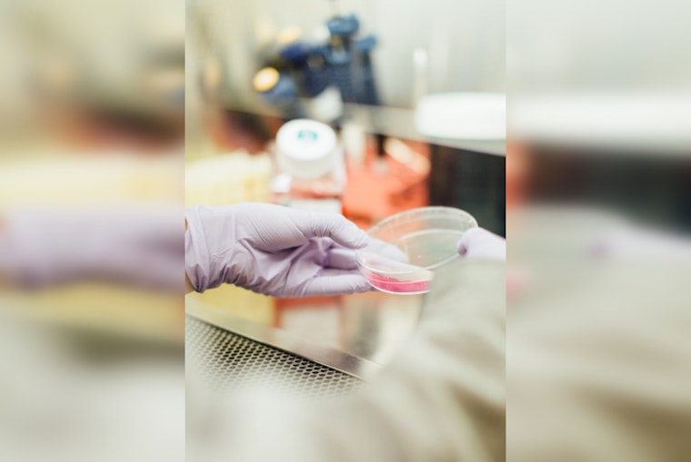 UT Health San Antonio Breakthrough, First Humanized Mice with Complete Human Immune Systems Developed