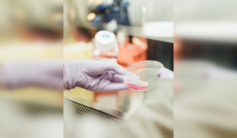 UT Health San Antonio Breakthrough, First Humanized Mice with Complete Human Immune Systems Developed