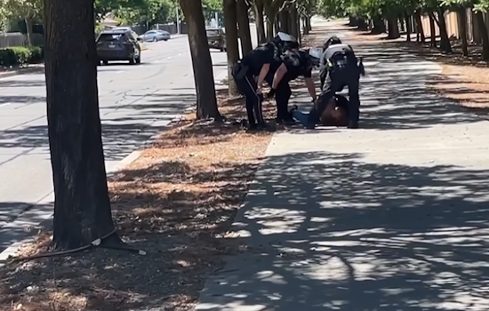 VIDEO: Vacaville on Alert As Suspect Detained After Attempted Stabbing and Assault on Shop Heroic Employee