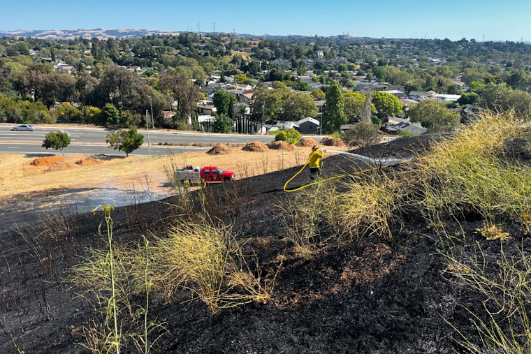 Vallejo Firefighters Swiftly Contain Vehicle Fire Turned Hillside Blaze on Avian Drive