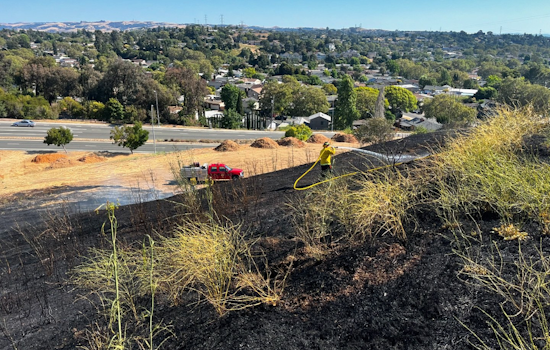 Vallejo Firefighters Swiftly Contain Vehicle Fire Turned Hillside Blaze on Avian Drive