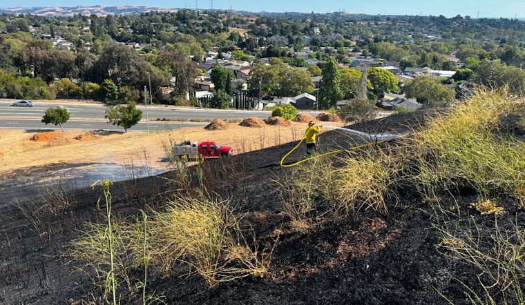 Vallejo Firefighters Swiftly Contain Vehicle Fire Turned Hillside Blaze on Avian Drive