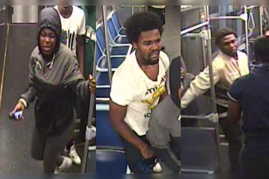 Victim Assaulted with Chemical Spray in Armed Robbery at Chicago's 87th Red Line Station