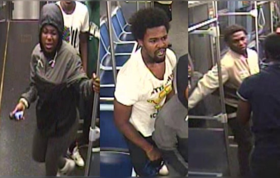 Victim Assaulted with Chemical Spray in Armed Robbery at Chicago's 87th Red Line Station