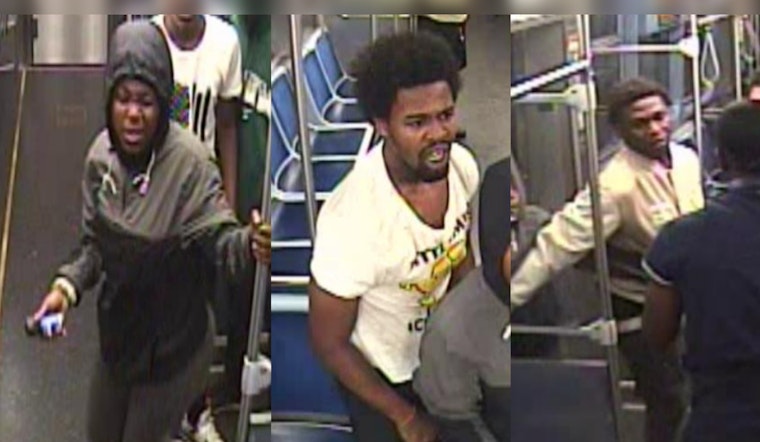 Victim Assaulted with Chemical Spray in Armed Robbery at Chicago's 87th Red Line Station