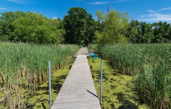 Wargo Nature Center Offers Summer Foraging Class for Aspiring Local Foragers in Anoka County